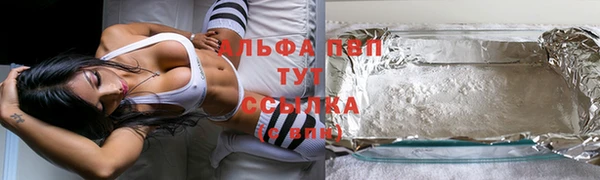 прущие крисы Белокуриха