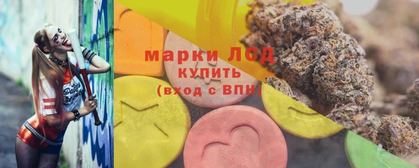 эйфоретик Баксан