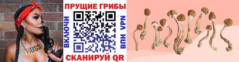 mega онион площадка Telegram Галлюциногенные грибы прущие грибы магазин Короча